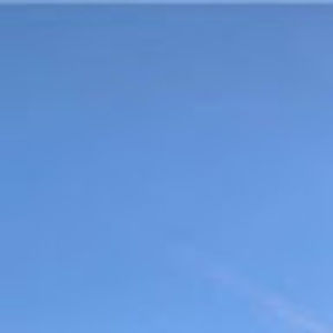 Meet your Posher, Molly